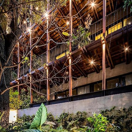 Ana Polanco Apartments مدينة مكسيكو المظهر الخارجي الصورة